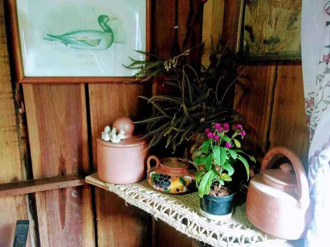 Cabana Rustica Calabresi Villa Osorio Exteriör bild